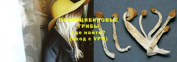 а пвп мука Богородск