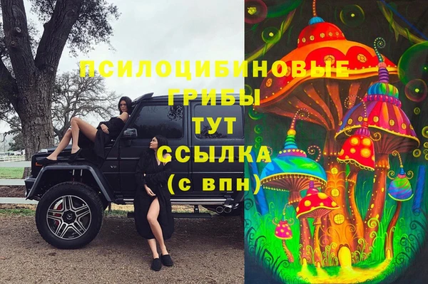 твердый Богданович