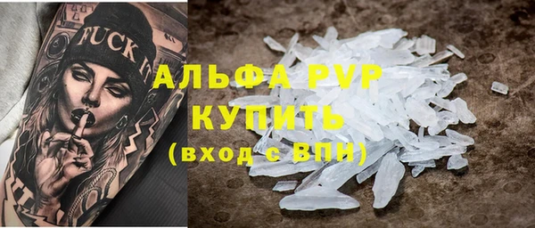 твердый Богданович