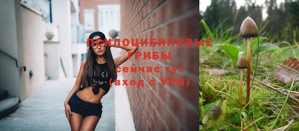 твердый Богданович