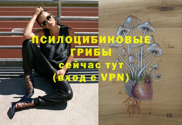 марки nbome Богородицк