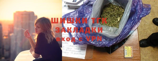 твердый Богданович
