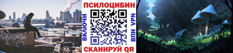 Купить закладки Луга Псилоцибиновые грибы Cubensis